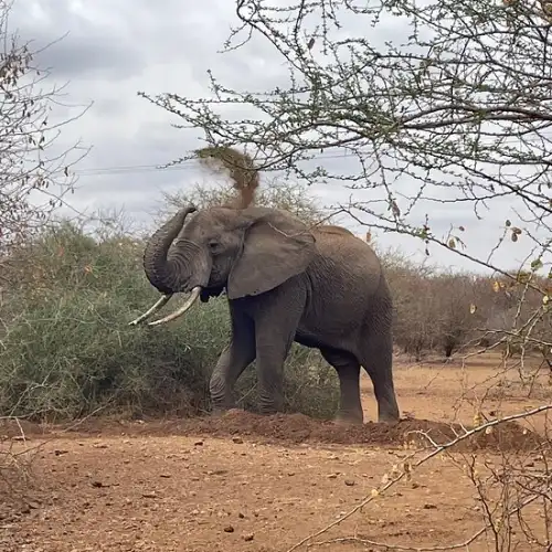 Tanzania Safari Packages