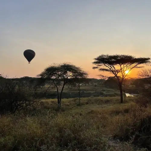 Tanzania Safari Packages