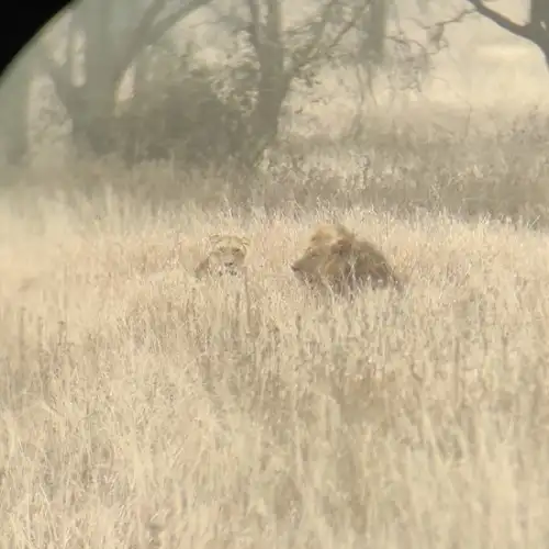 Tanzania Safari Itinerary