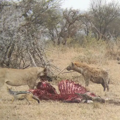 Tanzania Safari Itinerary