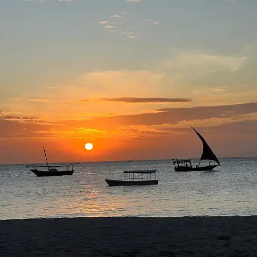 Tanzania Safari Holidays