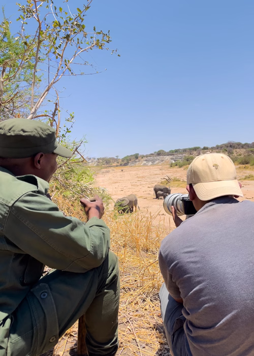 Tarangire National Parks