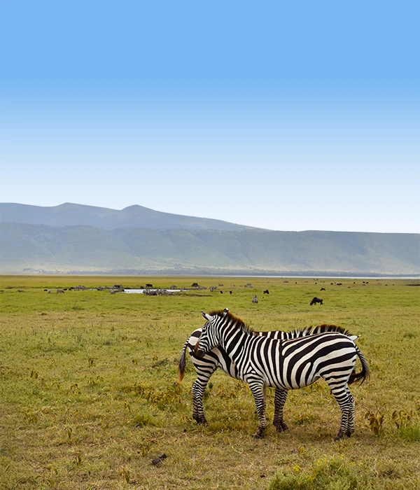 Tarangire Flyout Safaris