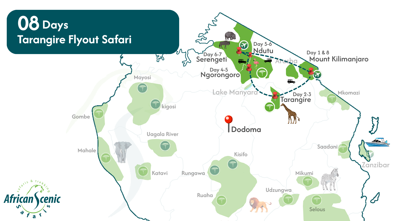8 Days Tarangire Flyout Safari