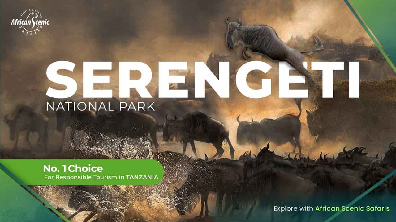 Serengeti National Park