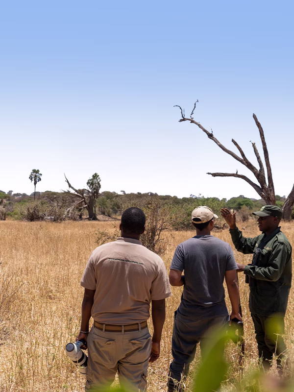 Tanzania Classic Safari