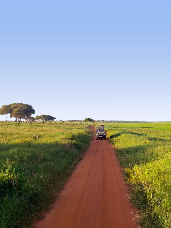 Tanzania Classic Safari