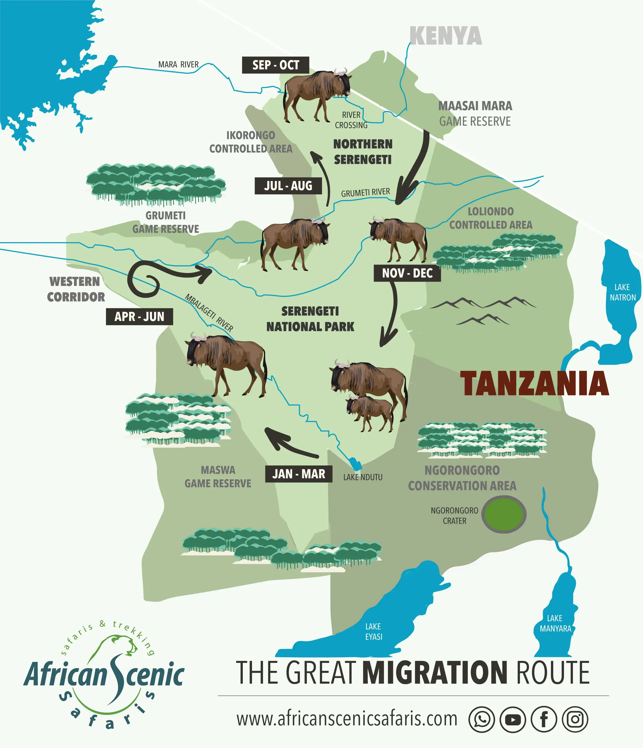 Serengeti Wildebeest Migration