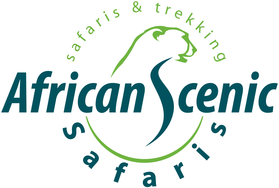 serengeti safari months