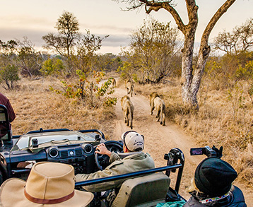 What-are-the-benefits-of-a-private-safari-in-Tanzania-