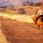 Tanzania Safari Packages