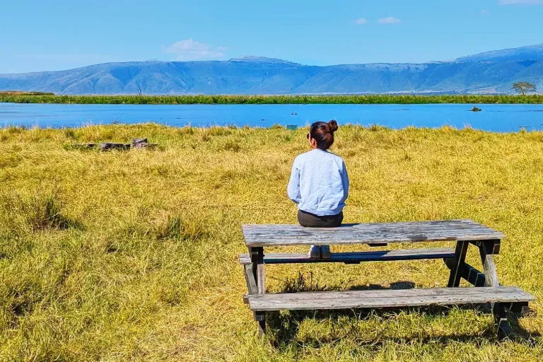  A Safari in Ngorongoro- Driving into the Wild!
