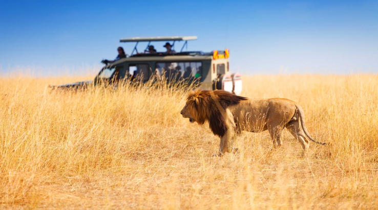 are safaris in tanzania safe