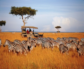 What-Are-The-Things-Included-In-Your-Tanzania-Safari-Cost Thumbnail