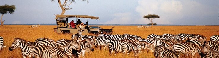 What-Are-The-Things-Included-In-Your-Tanzania-Safari-Cost-