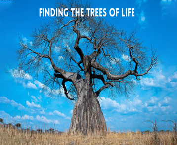Finding The Trees of Life