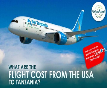 What Are The Flight Cost From The USA To Tanzania