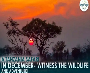 A TANZANIA SAFARI IN DECEMBER- WITNESS THE WILDLIFE AND ADVENTURE