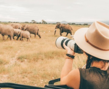 Tanzania Safari Adventure