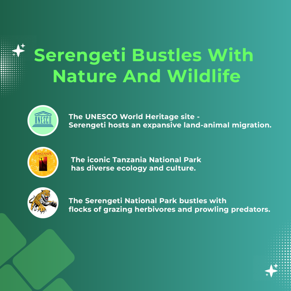 Serengeti Wildlife