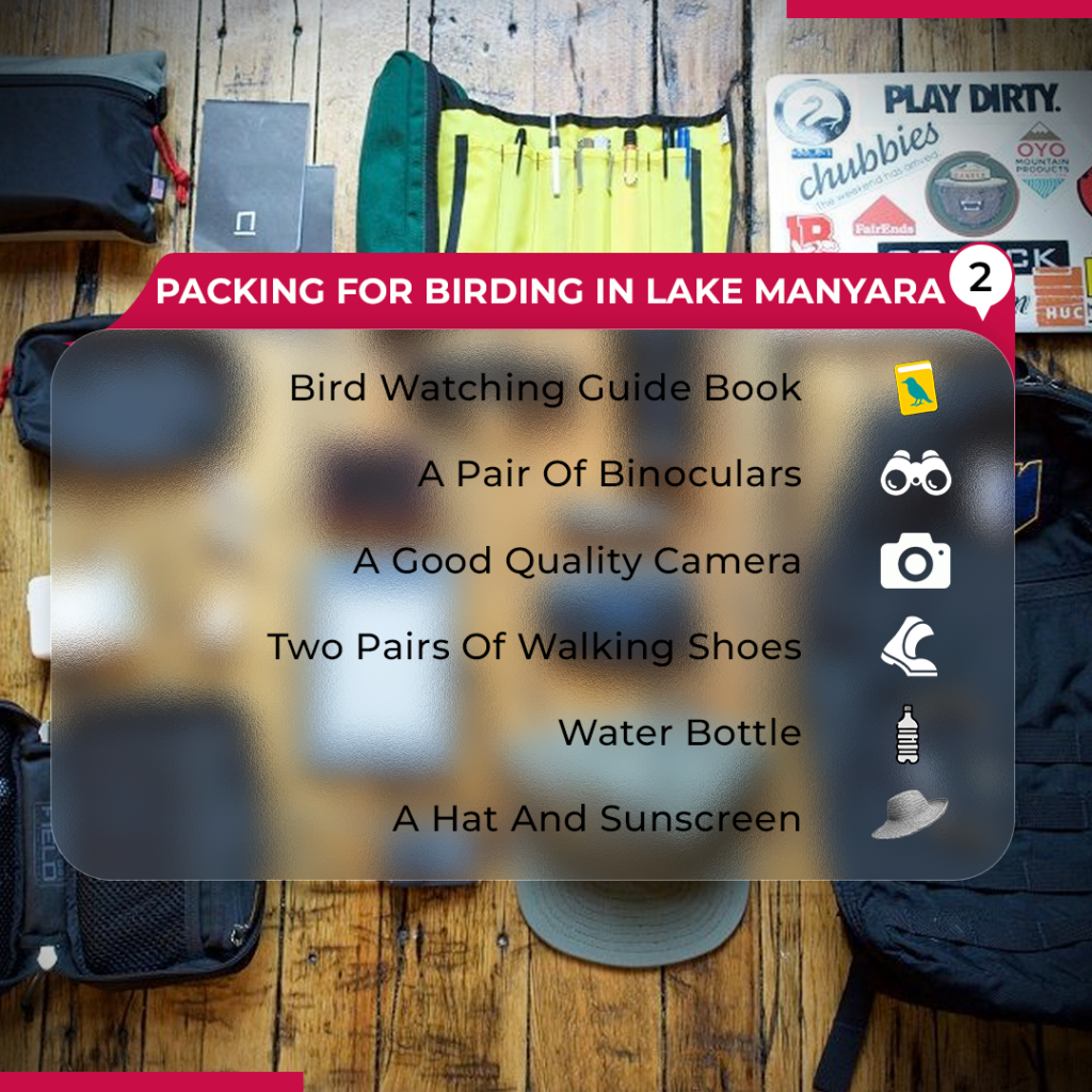 Lake Manyara Packing List