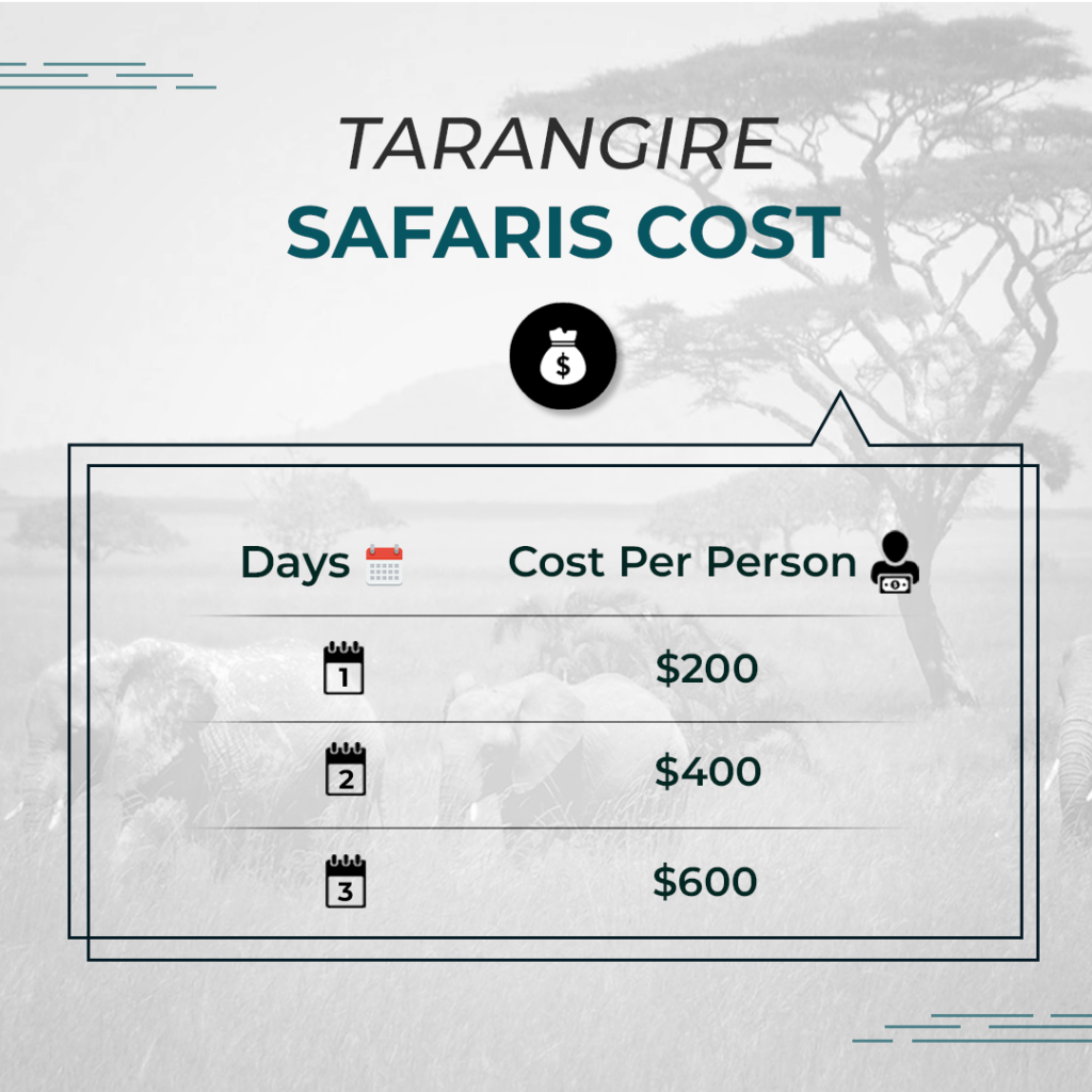 Tarangire Safari Cost