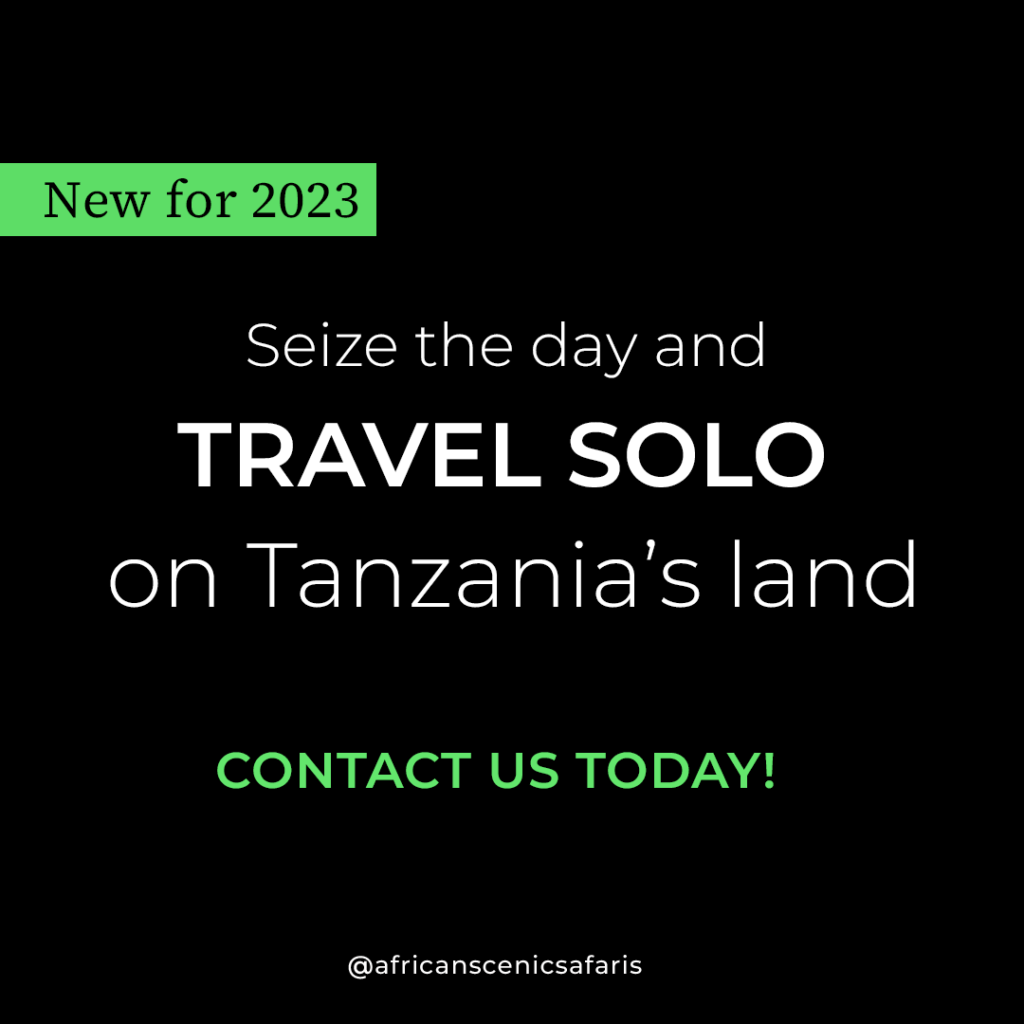 Solo Travel To Tanzania

