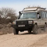 Tanzania Safari Packages