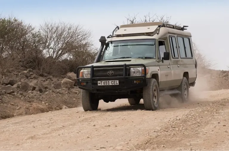 Tanzania Safari Packages