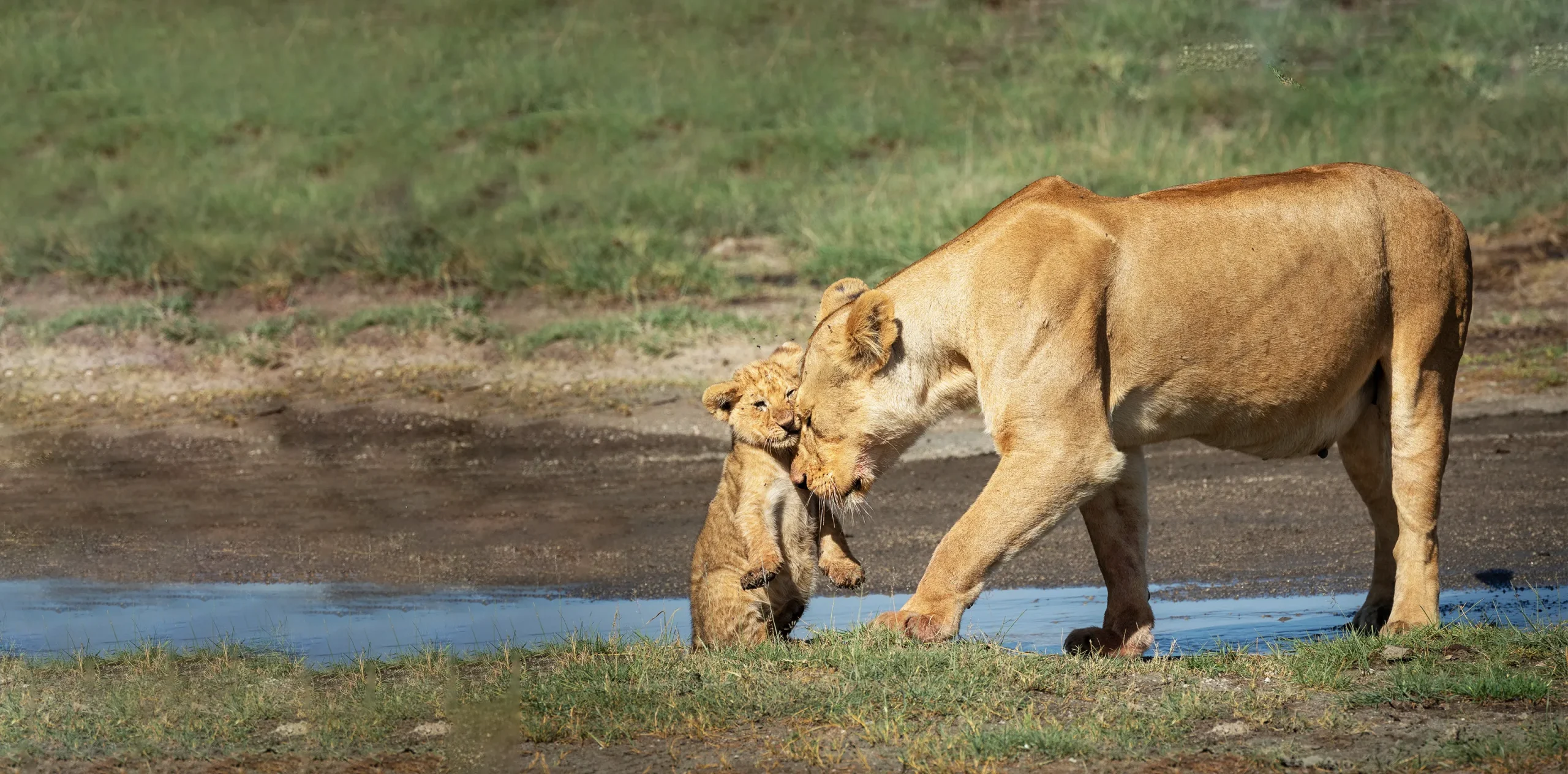 10 Best Tanzania Tours & Vacation Packages 2023/2024