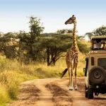 Tanzania Travel Costs
