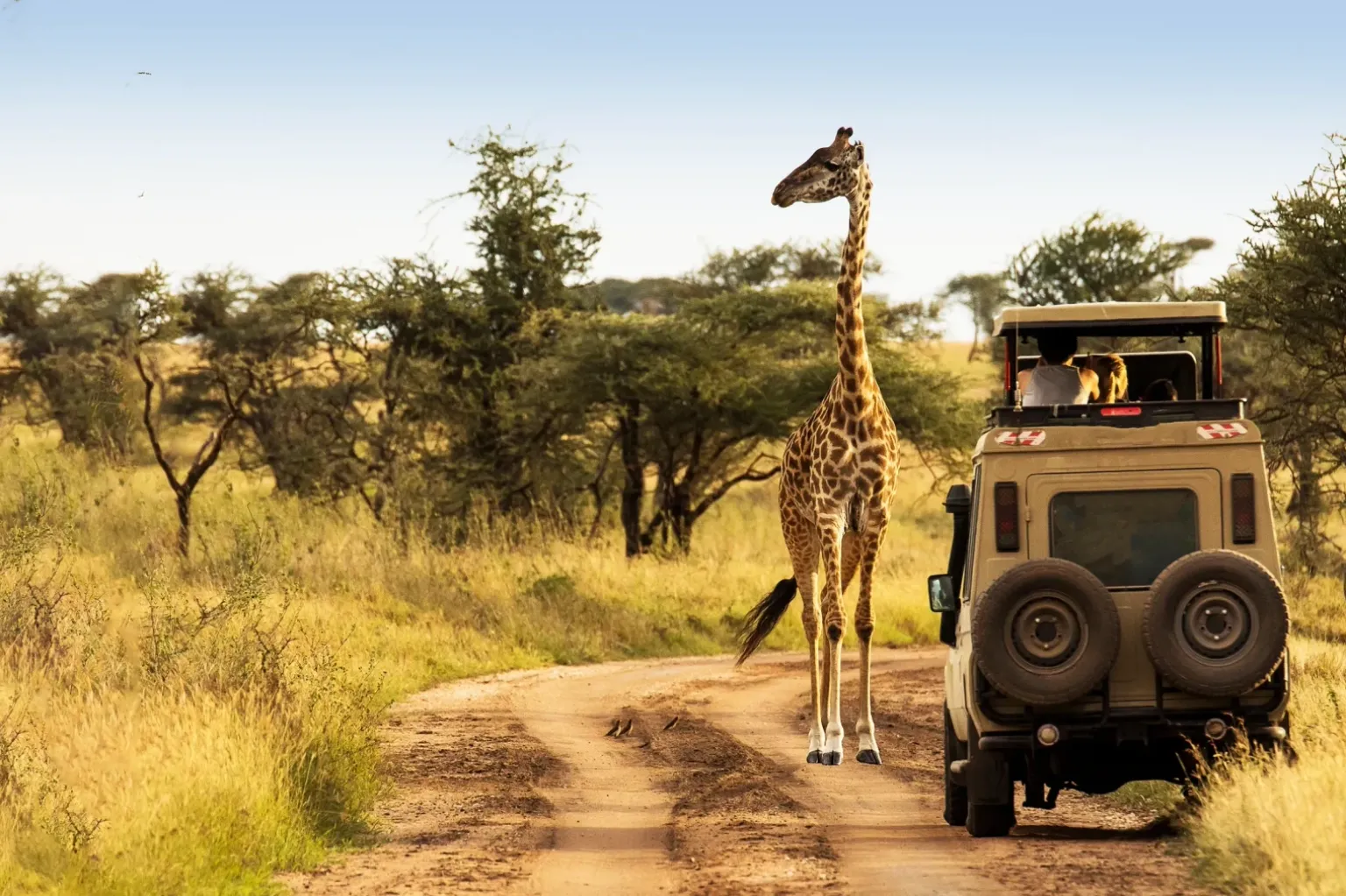 Tanzania Travel Costs