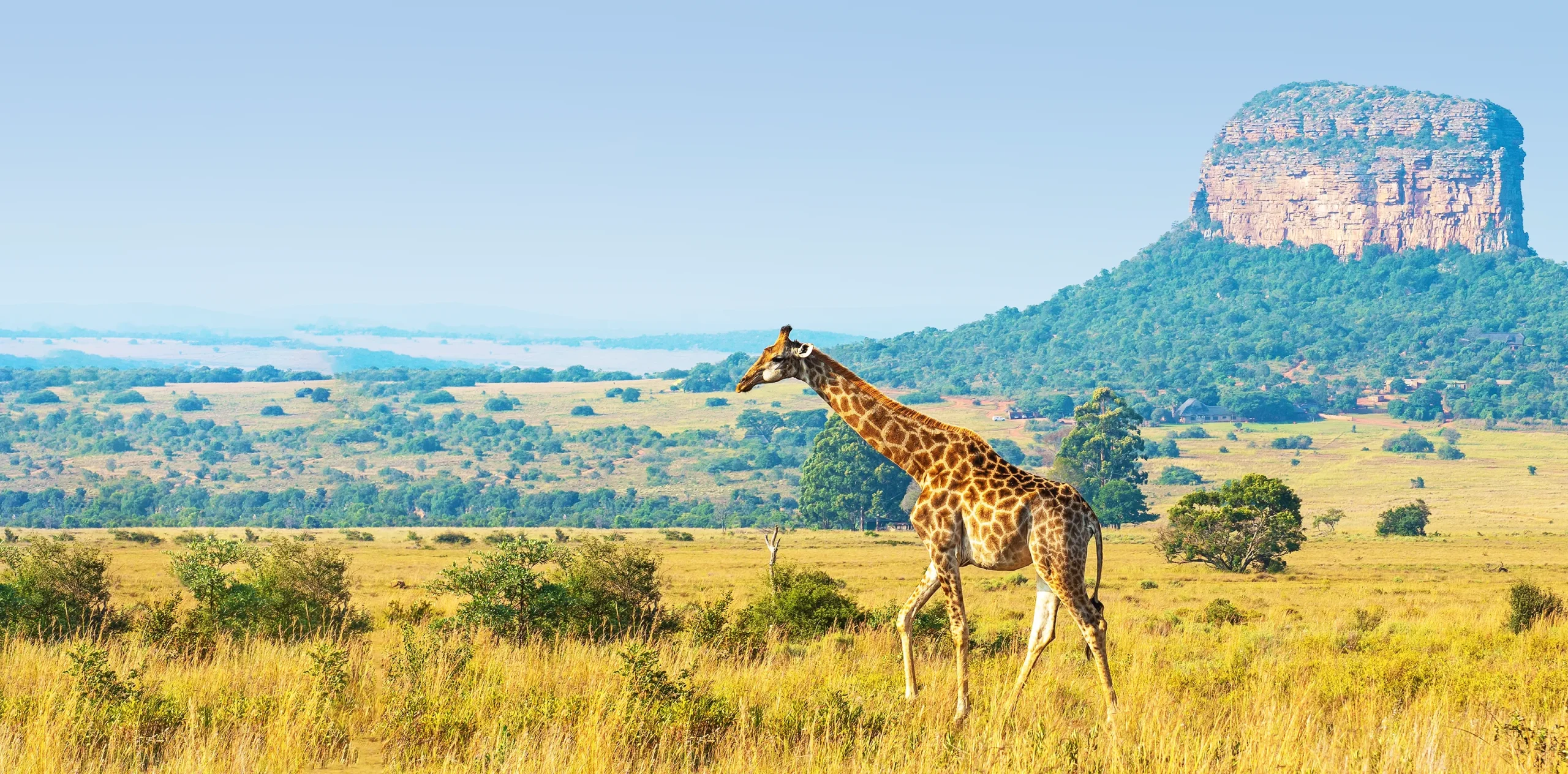 Ngorongoro Wildlife Safari, Tanzania – The Eighth Wonder of the Natural World!