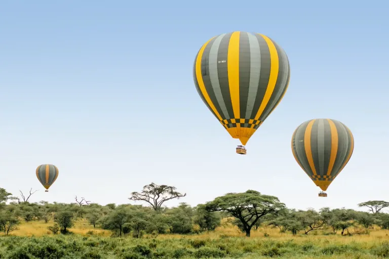 What are the Must-Visit Attractions in Tanzania’s Famous Serengeti National Park?