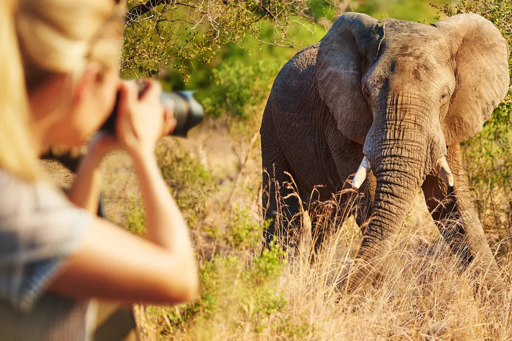 Big Five Safaris In Tanzania