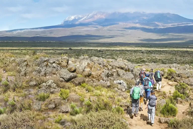 8 Days Lemosho Route