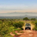 Tanzania Safaris 2025