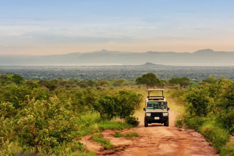 Tanzania Safaris 2025