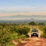 Tanzania Safaris 2025