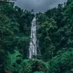 Things To Do In Moshi