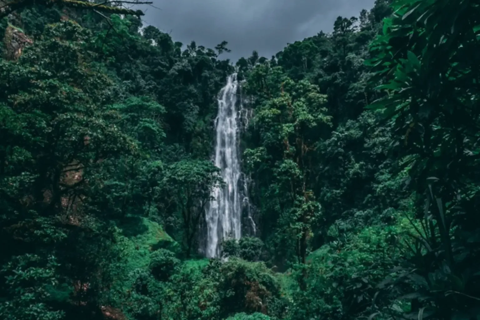 Things To Do In Moshi