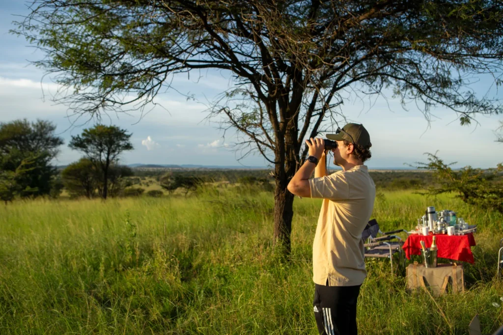 Photography Safari