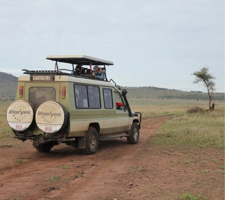 Tanzania Ethical Safaris