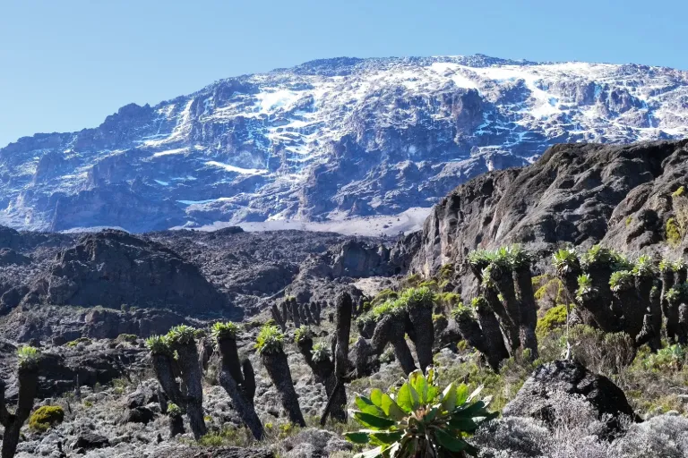 How High Is Mount Kilimanjaro? Everything You Need to Know