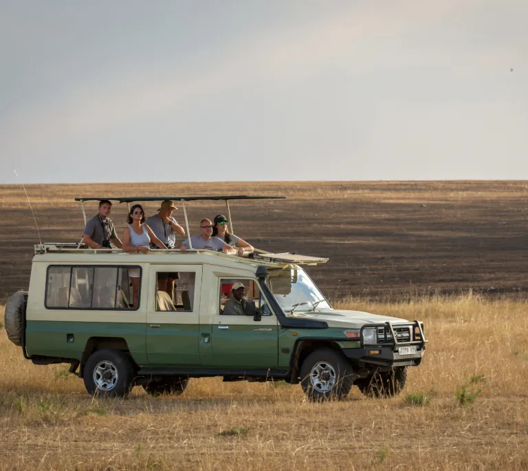 Serengeti Safari