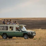 Serengeti Safari