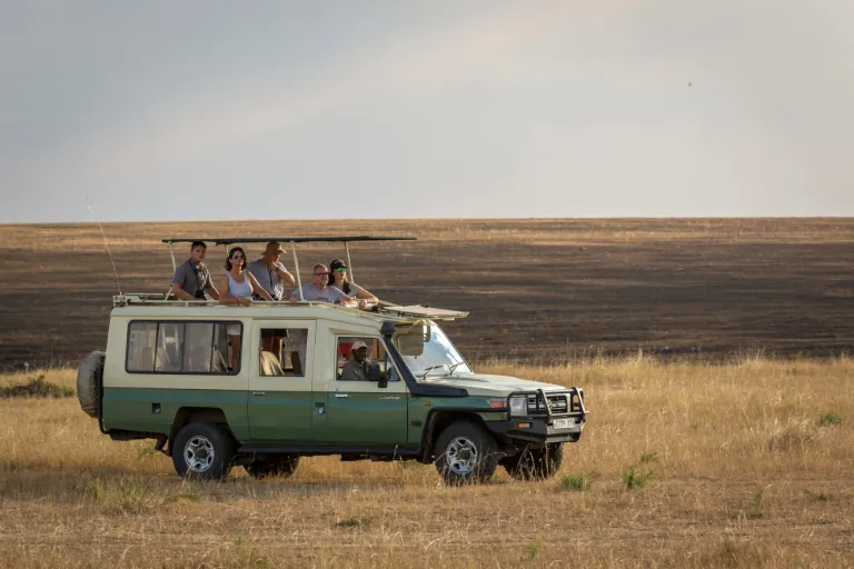 Serengeti Safari