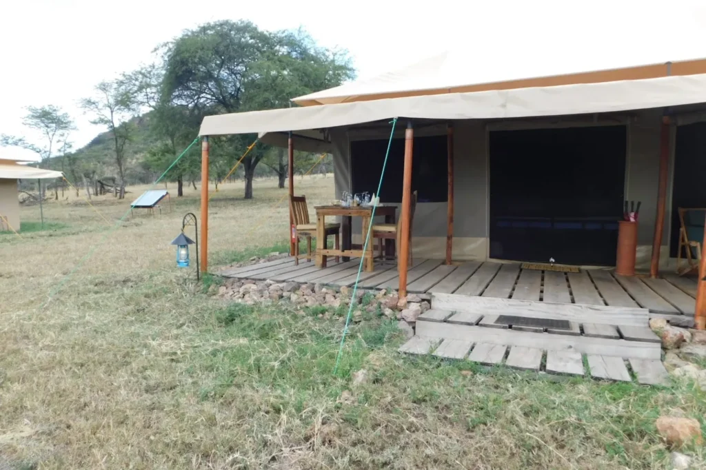 Tanzania Luxury Safari Activities