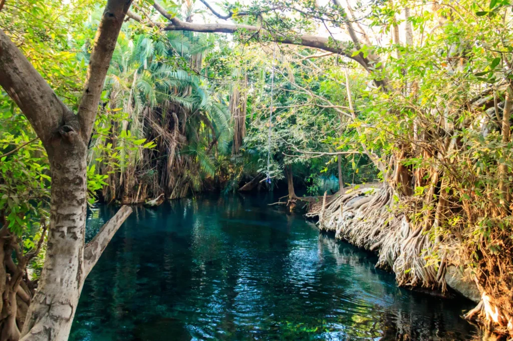 Kikuletwa Hot Springs