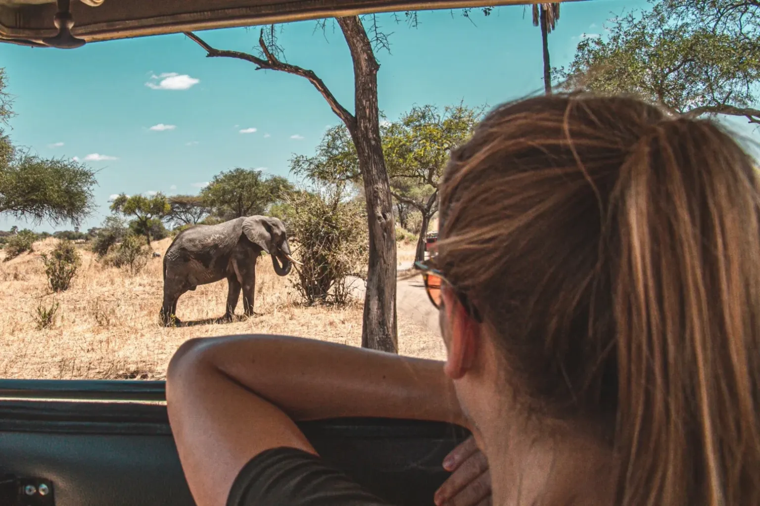 Luxury Safaris Tanzania